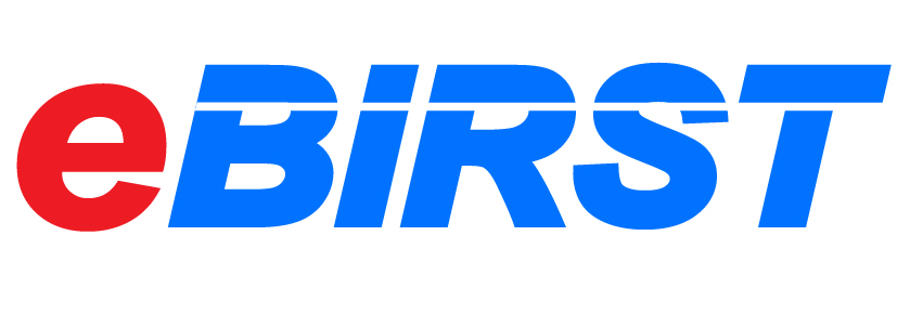 eBIRST Logo